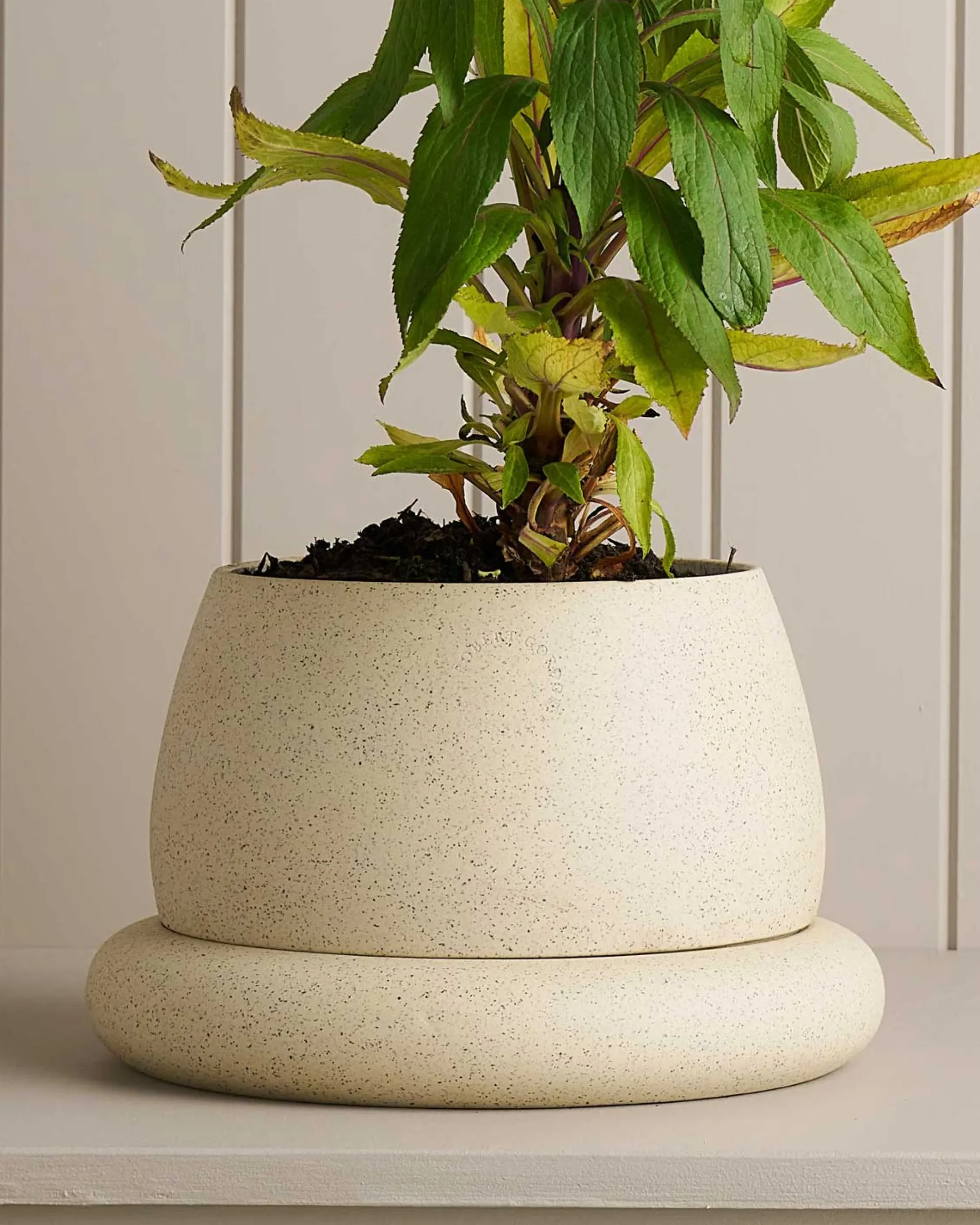 Planters & Watering Cans-Robert Gordon Large Cloud Planter / White Speckle