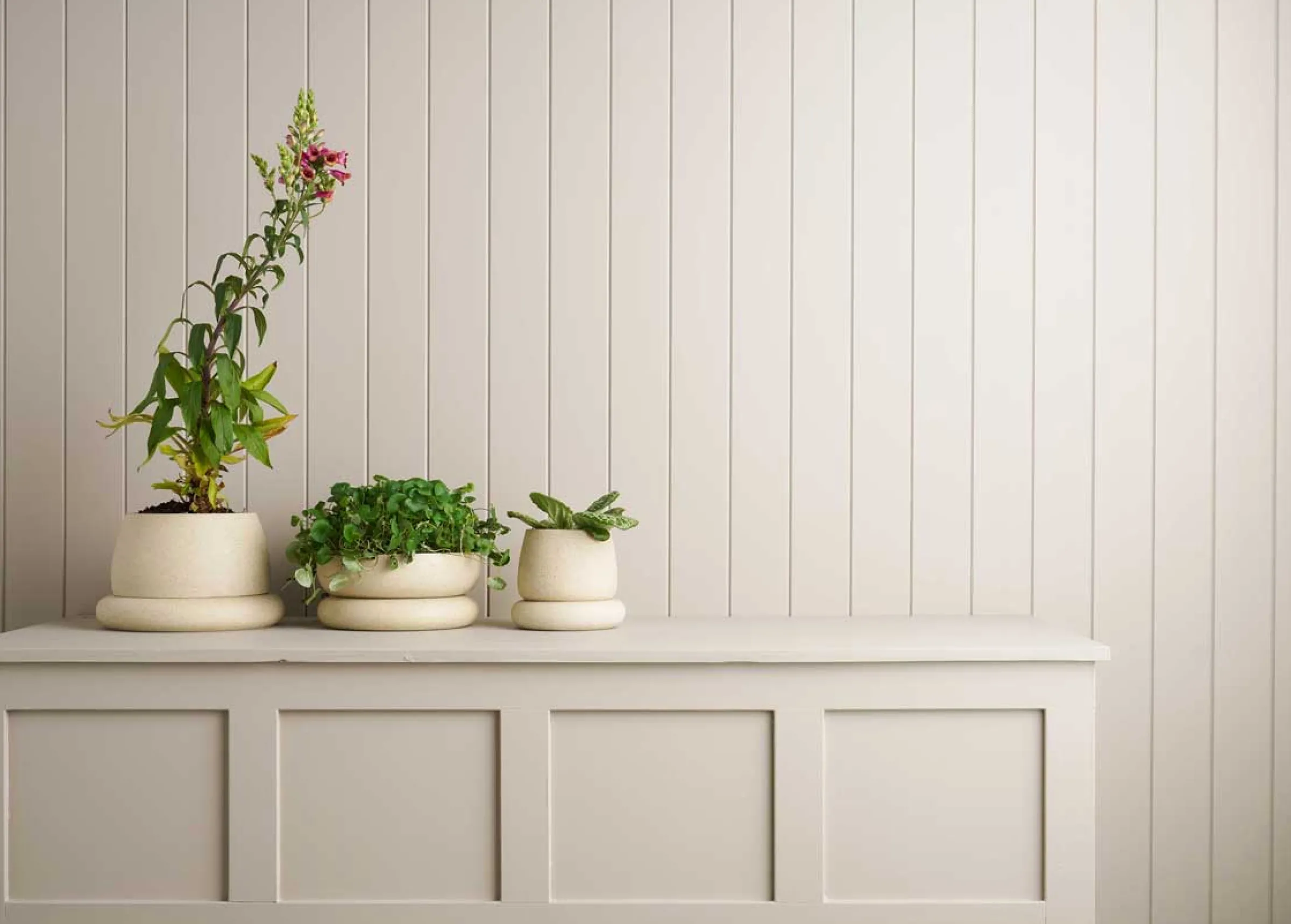 Planters & Watering Cans-Robert Gordon Wide Cloud Planter / White Speckle